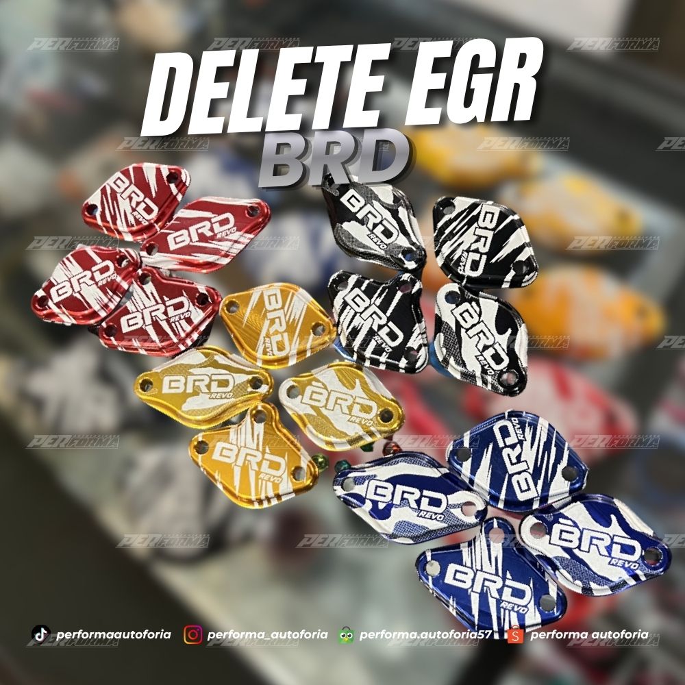 BRD Delete EGR Kit GD Series
