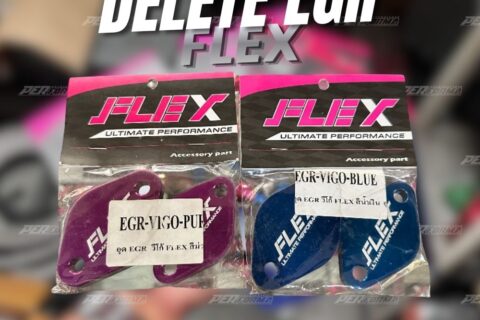 Flex Delete EGR