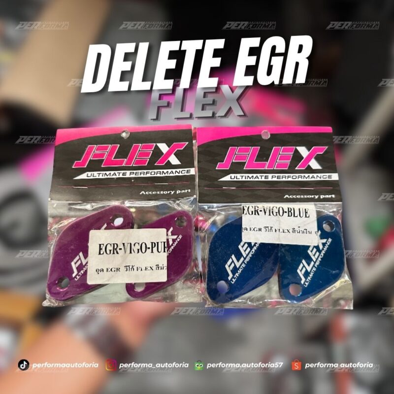 Flex Delete EGR