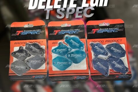 T-Spec Delete EGR