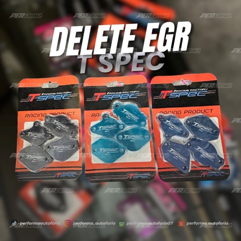 T-Spec Delete EGR